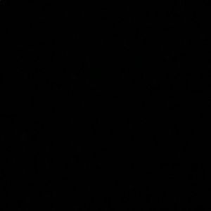 Meet your Posher, Leonardo